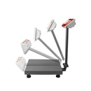 Báscula recibo 100kg / 20g BAPLE-100 Rhino, indicador acero inox peso-precio-total, plataforma acero carbono 30 x 40 cm